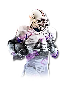 Devin Hester